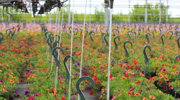 Loc-Line. L’originale Sistema Flexo Componibile - 8